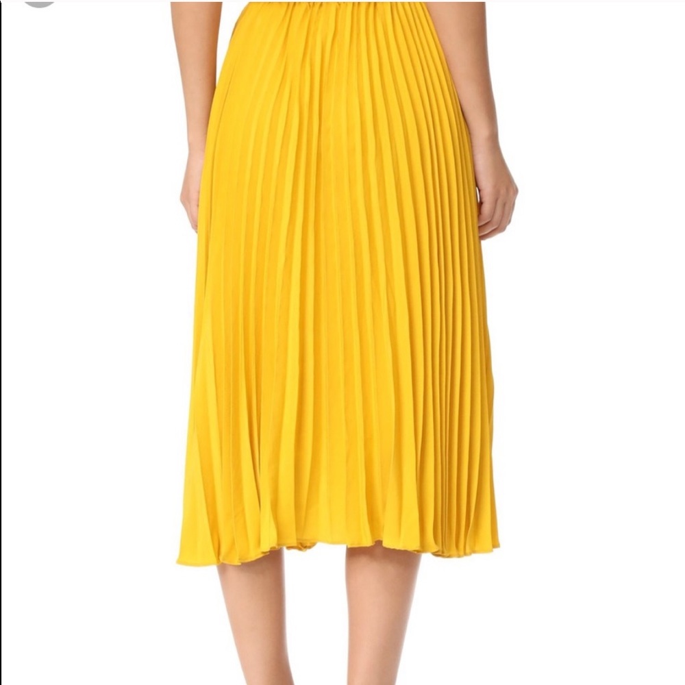 Endless Rose Pleated Skirt